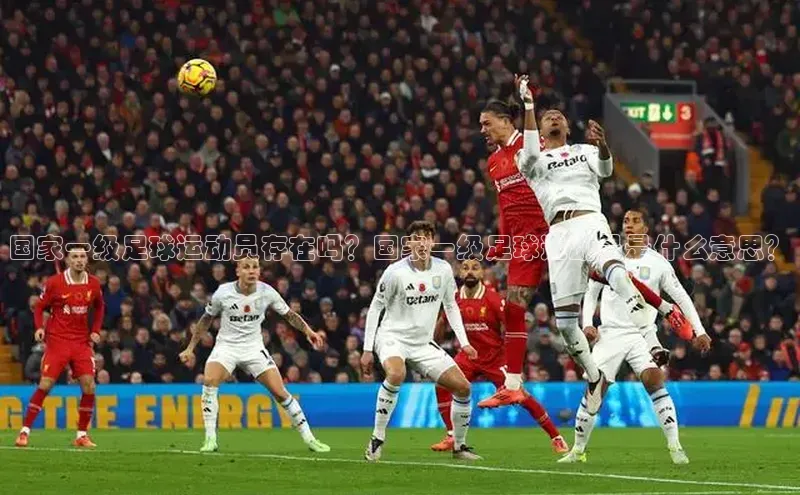 j9九游真人游戏第一平台百度游戏开放平台国家一级足球运动员存在吗？国家一级足球运动员是什么意思？