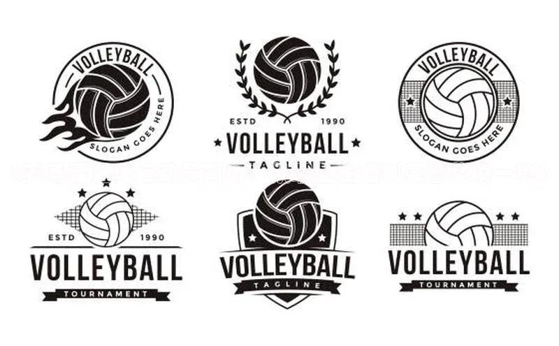 J9九游会老哥俱乐部华扬联众《苏马雷足球运动员简历：从职业生涯到荣誉奖项一览》