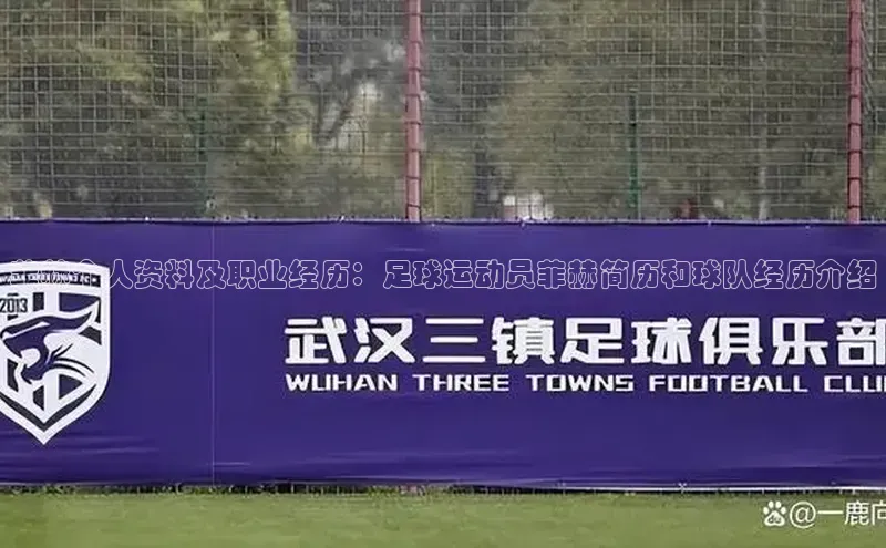 J9九游会老哥俱乐部百度百聘菲赫个人资料及职业经历：足球运动员菲赫简历和球队经历介绍