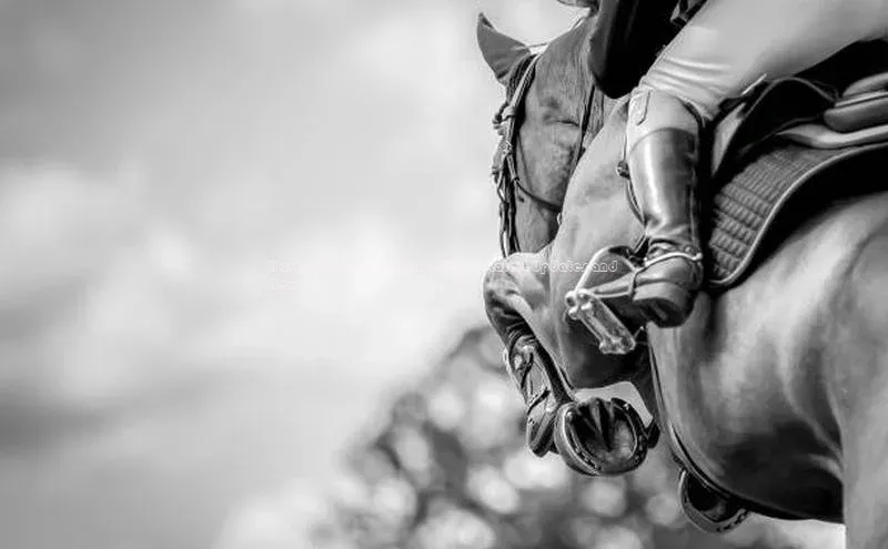 j9九游真人游戏第一品牌登录入口百度学术Has Football Been Cancelled? - Latest Updates and News