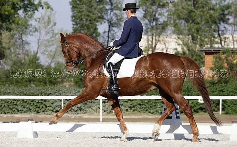 j9九游真人游戏第一品牌登录入口华策影视竞技风暴：深入2023年度世界足球联赛竞争趋势与关键对决