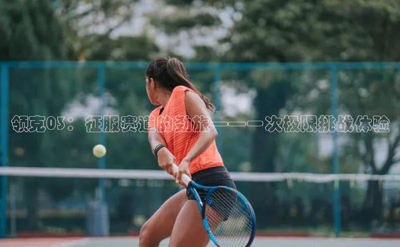 j9九游会登录入口首页旧版度小满支付领克03：征服赛道的劲旅——一次极限挑战体验