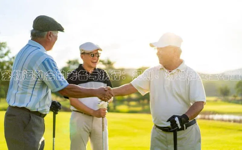 宠物运动会的筹备与执行：规则、场地和安全考量