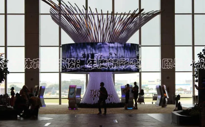 女子体育竞技榜：年度精彩赛事回顾与分析