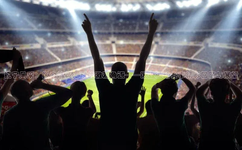 辽宁风采：区内精英汇聚的激烈角逐——区级运动赛事精彩回顾与展望