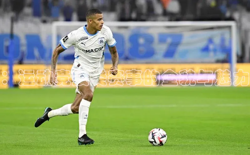 ：运动竞技类赛事的全貌与魅力