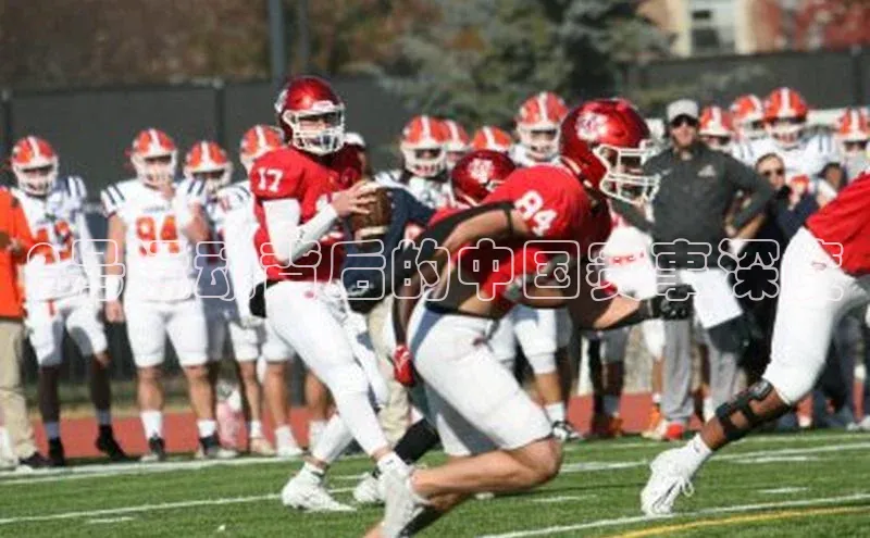 2号运动背后的中国赛事深度