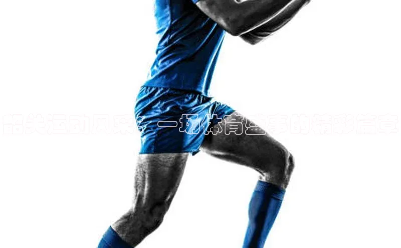 韶关运动风采：一场体育盛事的精彩篇章