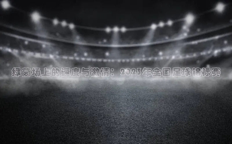 绿茵场上的速度与激情：2023年全国足球锦标赛