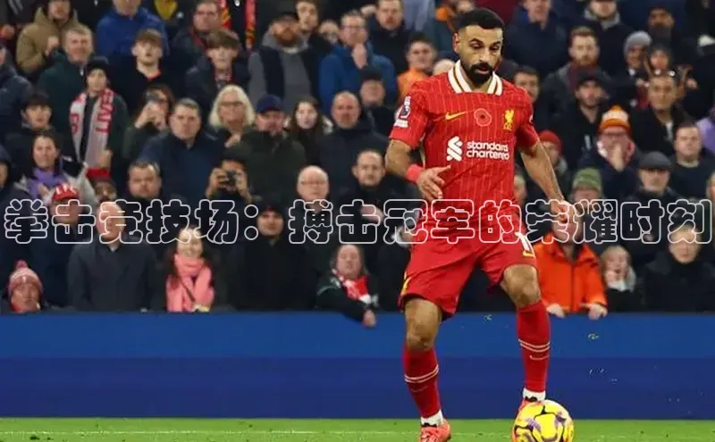 拳击竞技场：搏击冠军的荣耀时刻