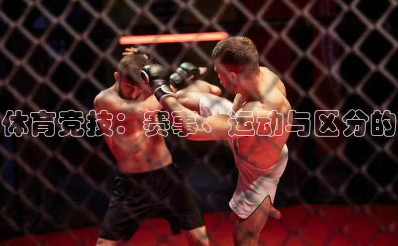 体育竞技：赛事、运动与区分的