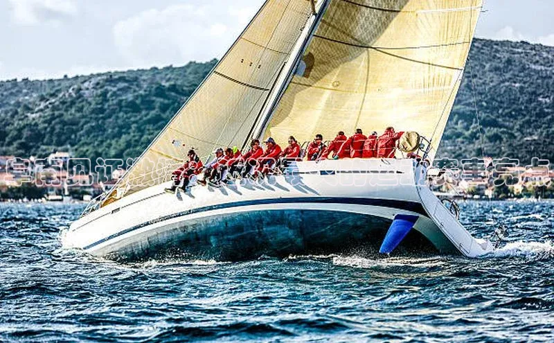 阜南见证激情：近况最火的运动赛事亮点