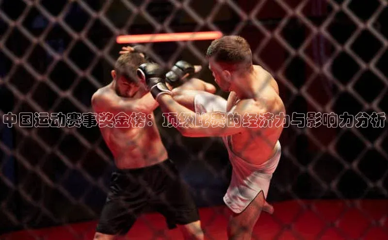 中国运动赛事奖金榜：顶级比赛的经济力与影响力分析
