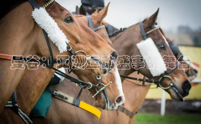 曼谷：亚洲运动盛事的舞台