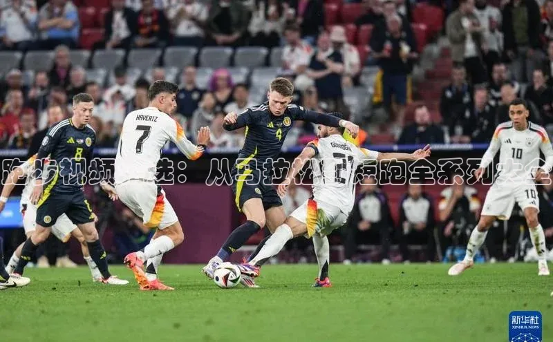 跑步视频精选：从马拉松到短跑全系列大全