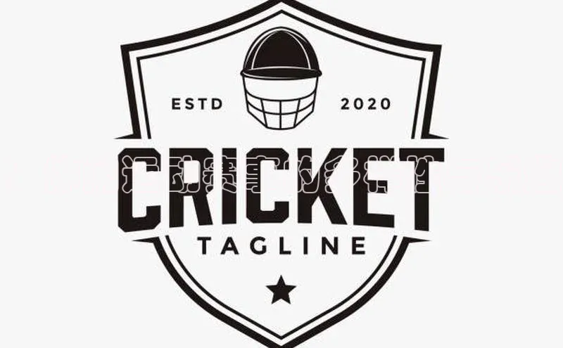 ：休闲运动赛事的多样性与乐趣