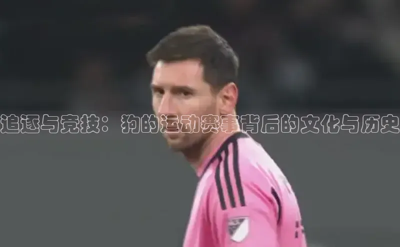 追逐与竞技：狗的运动赛事背后的文化与历史