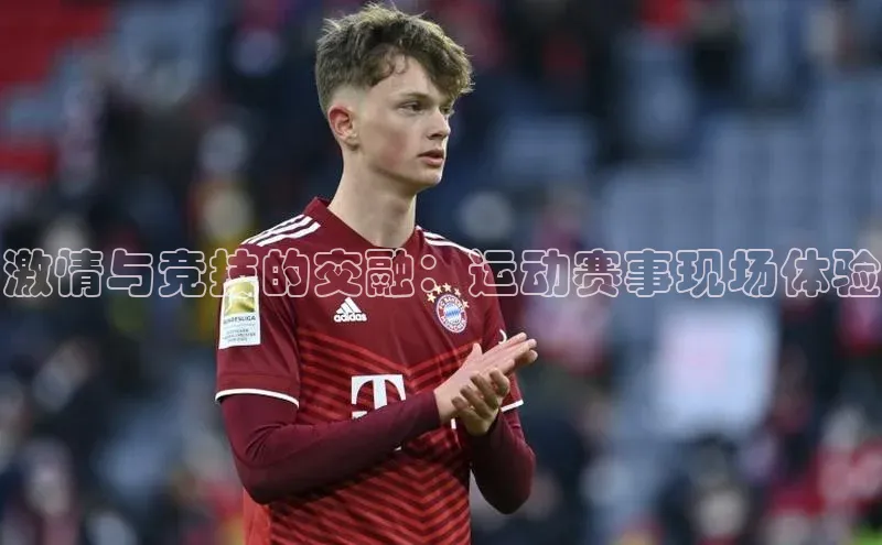 激情与竞技的交融：运动赛事现场体验